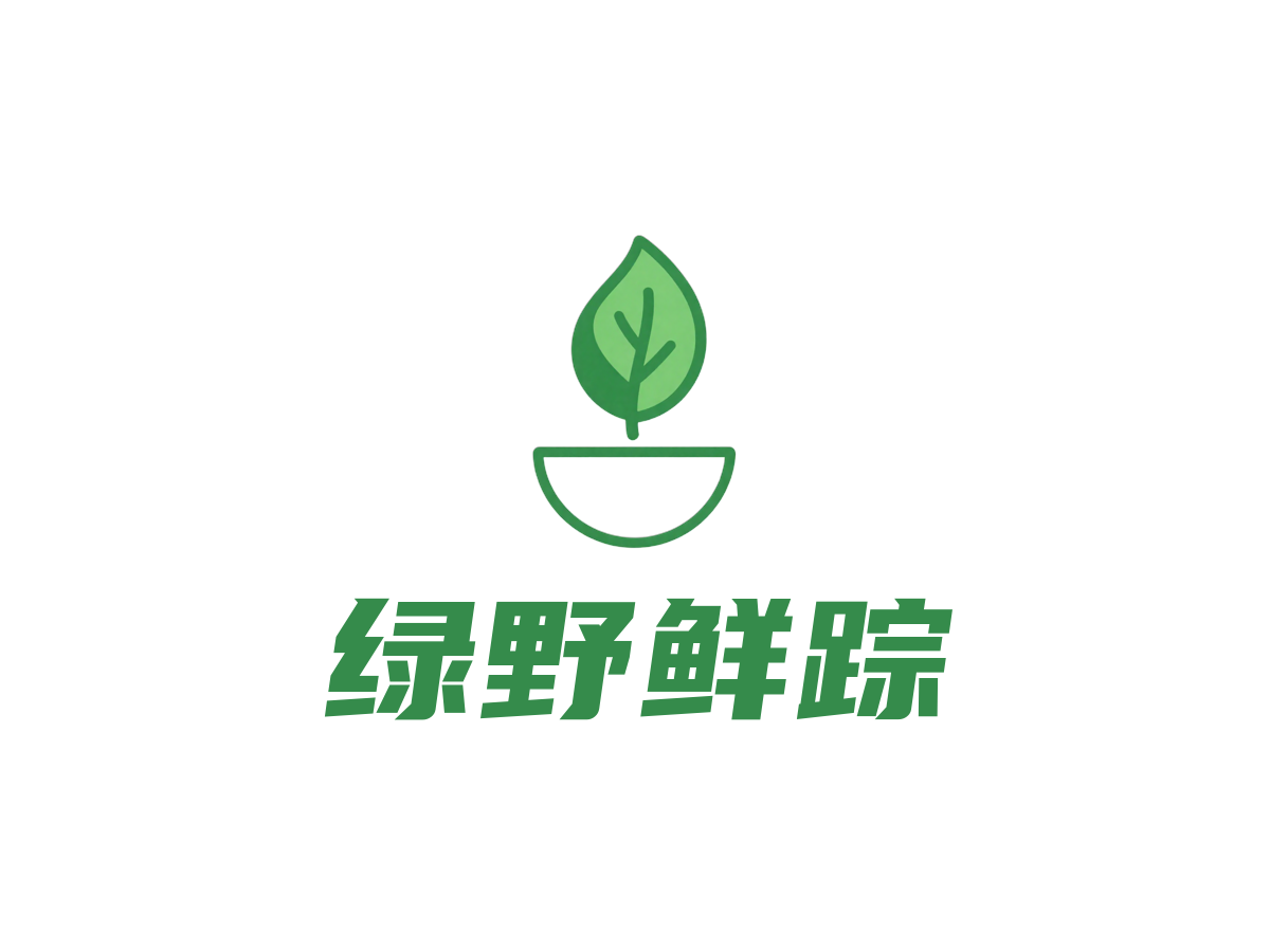 沙拉店行业LOGO案例：绿野鲜踪品牌,创意手绘风格，绿色配色